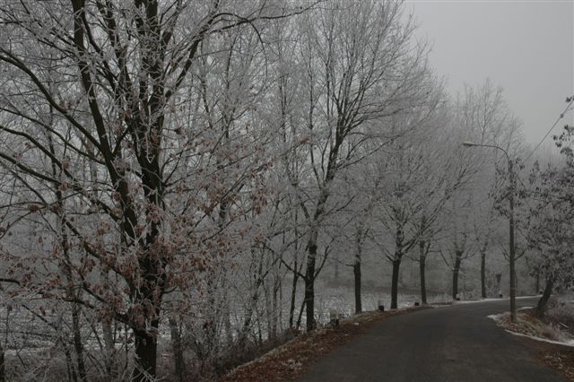 DSC 0059
